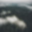 aerial view of pacific northwest forest with mist.jpg