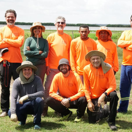 A geophysical field in the Eastern Amazon