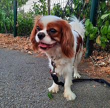 299101667_437207958453801_9219654713005694271_n (1).jpg