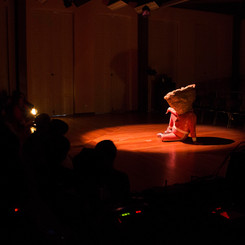 Mostra Solar 2018. Casa Hoffmann - Centro de Estudo do Movimento. Foto: Cibelle Gaidus