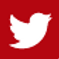 Twitter Icon.png