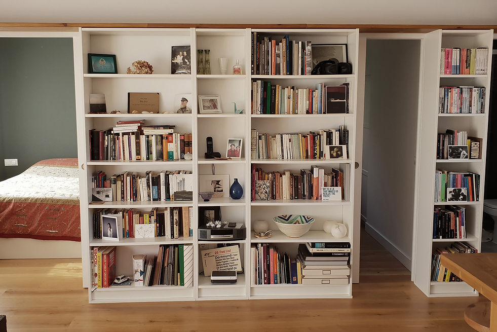 librería separador sala.jpg