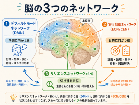 脳の3つのネットワーク