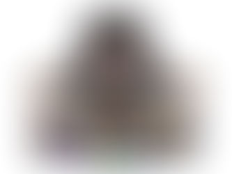 多数派同調性バイアス