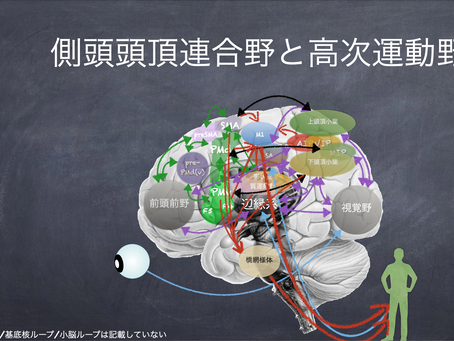 認知機能とバランス