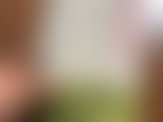 進化と脳の情報処理