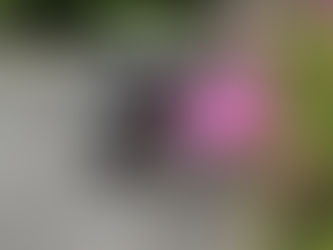リハビリテーションの目的と探索行動