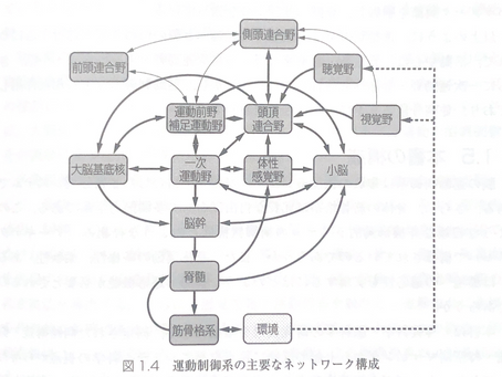 頭頂間溝野について