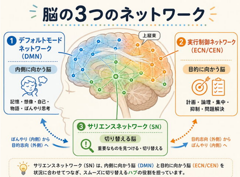 流し目とサリエンスネットワーク