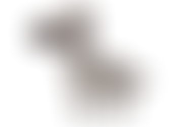 2022いんすぴゼミ4回目