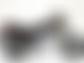 バイクを買うことにしました