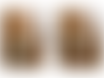 姿勢制御と良い姿勢