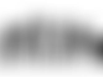 脳の可塑性はなぜ在るのか