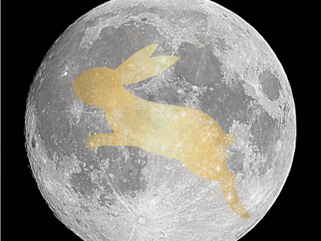 再生医療とヒトという種のRISK