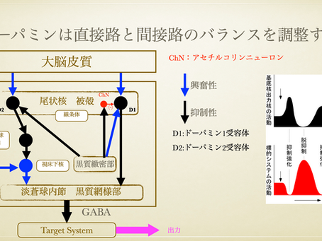 大脳基底核の2つのモード