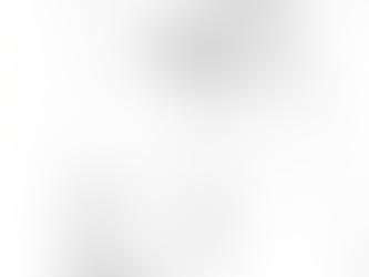 側座核に見るやる気