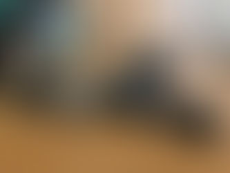 お散歩とカメラ