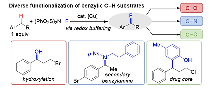 Fluorination.tif