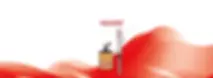 portada web montesur MÓVIL_Mesa de trabajo 1.webp