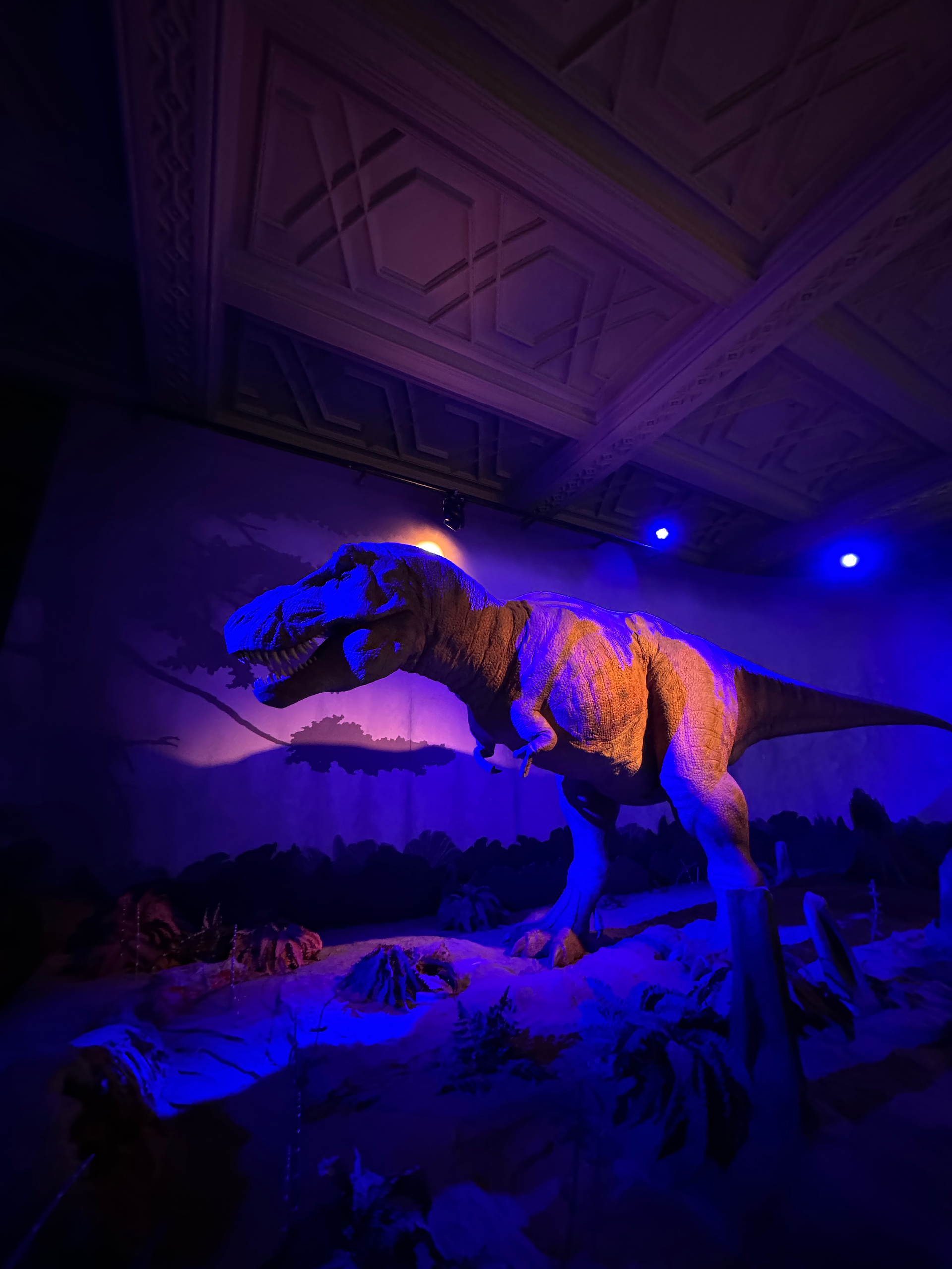 Natural history Museum