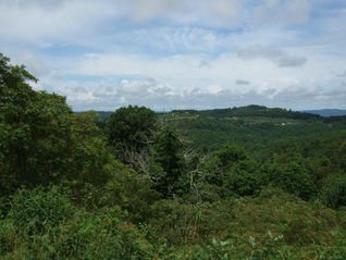 Robi USA 2012 (17).jpeg