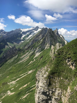 0AC69099-E935-46E0-AC60-FFFB260FE35C_1_105_c.jpeg