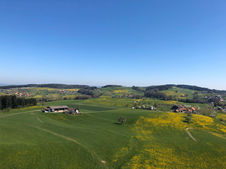 0F388D7B-263C-4A68-80DB-D09DF31E56C8_1_105_c.jpeg