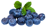 purepng.com-blueberryberryfruitdelicious