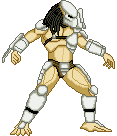 Predator.gif