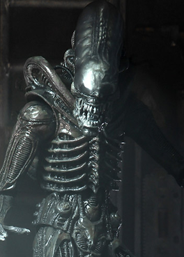Website - Alien.png