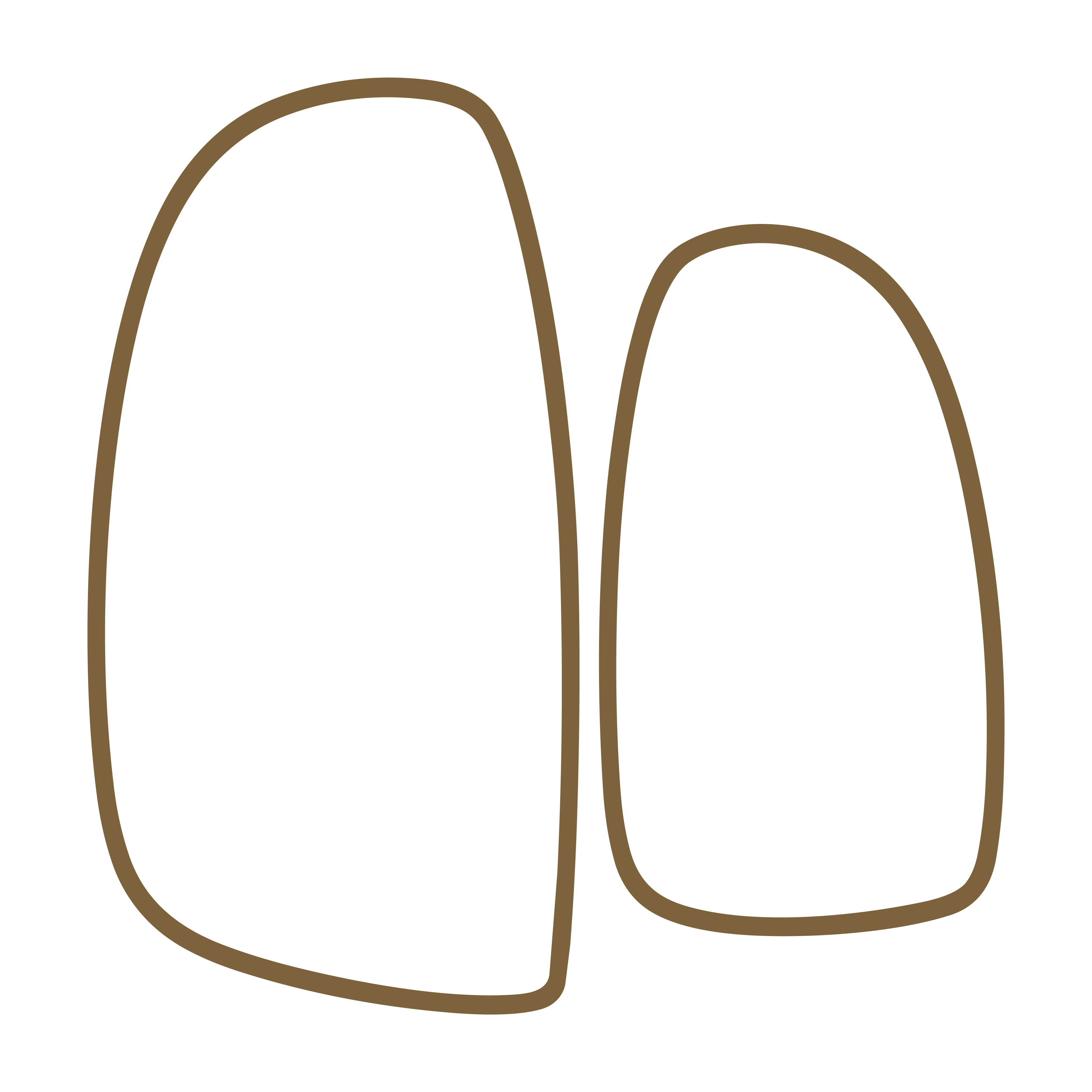 Website Icons d-41.png