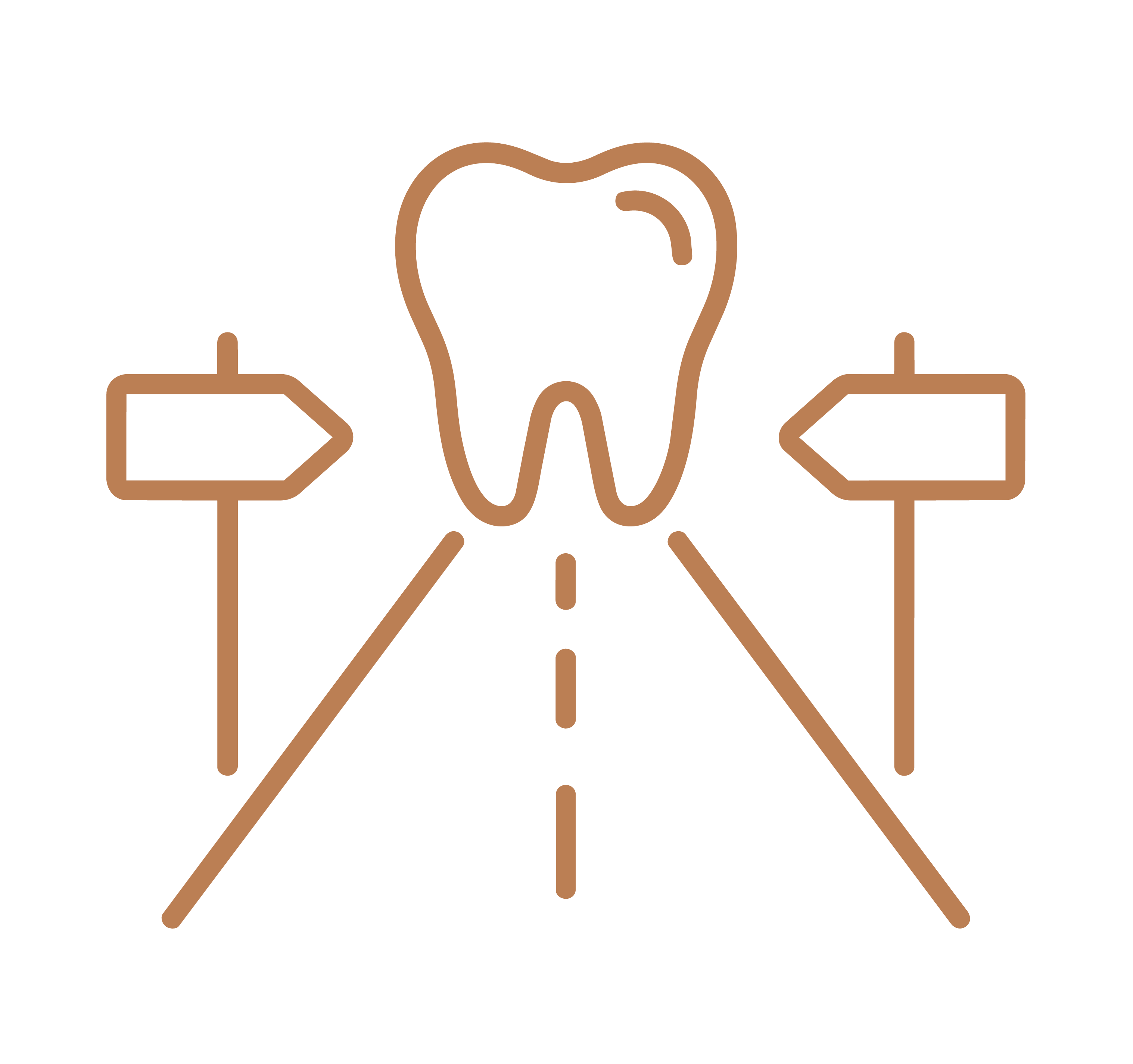 Website Icons - Section 5.5-16.png