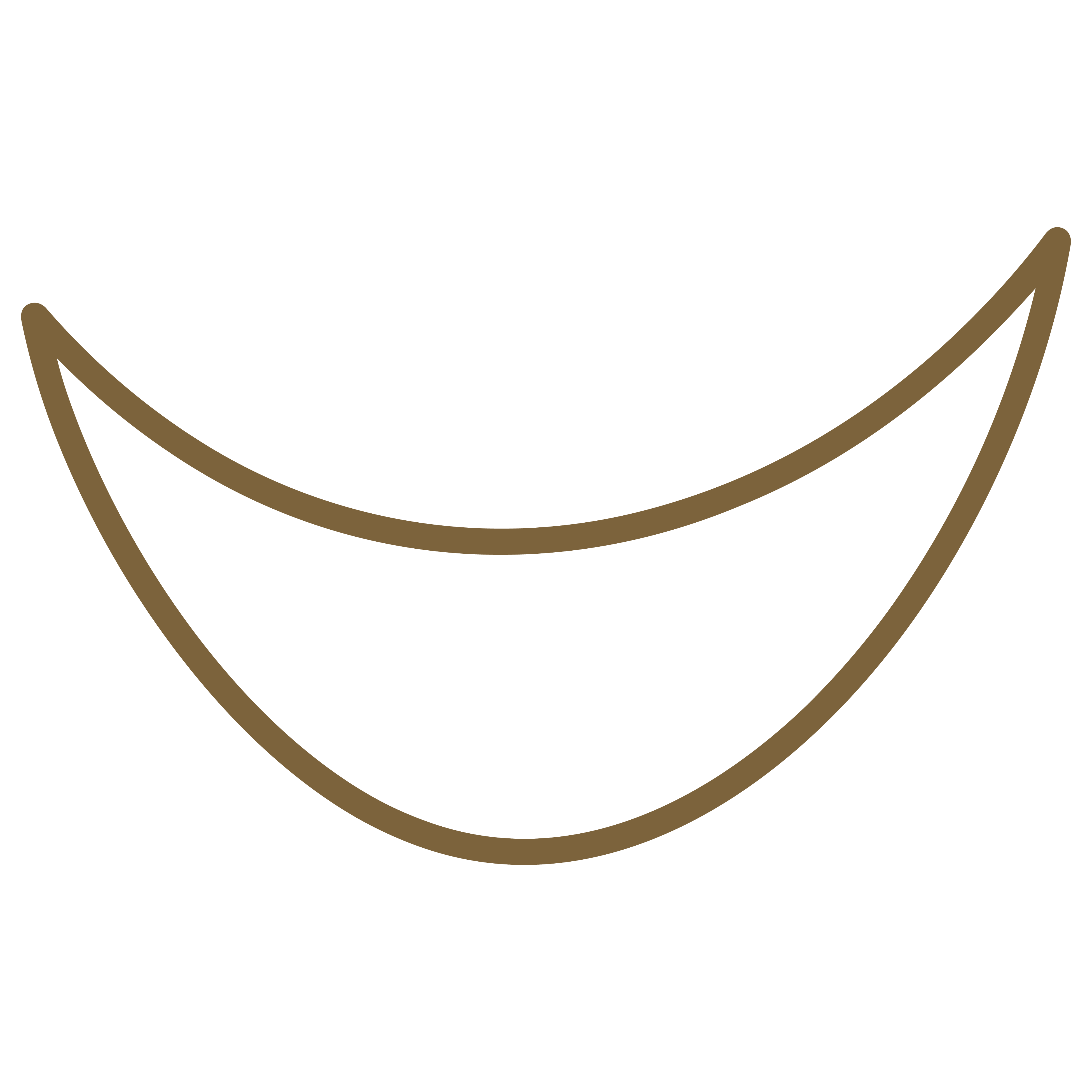 Website Icons d-40.png