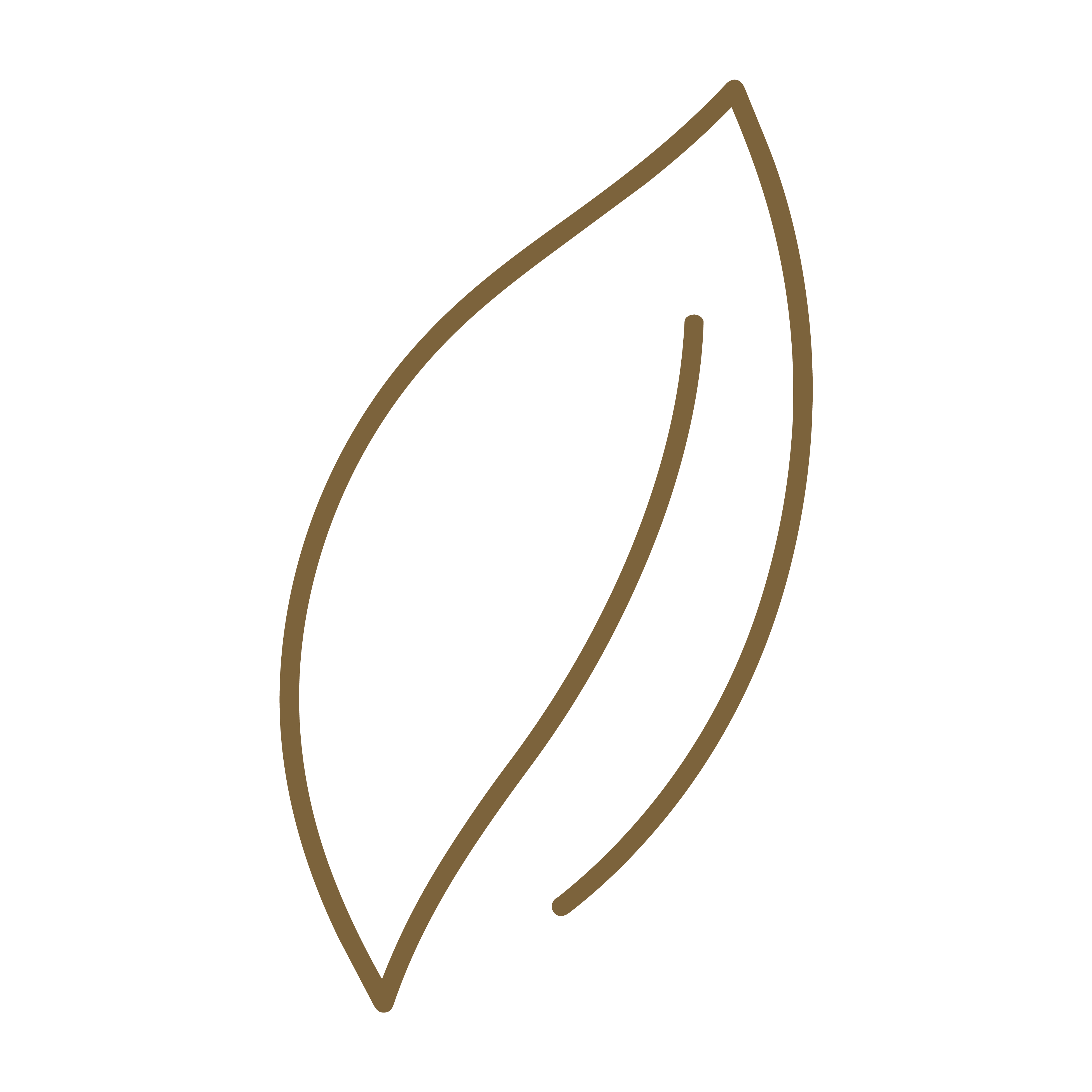 Website Icons d-47.png