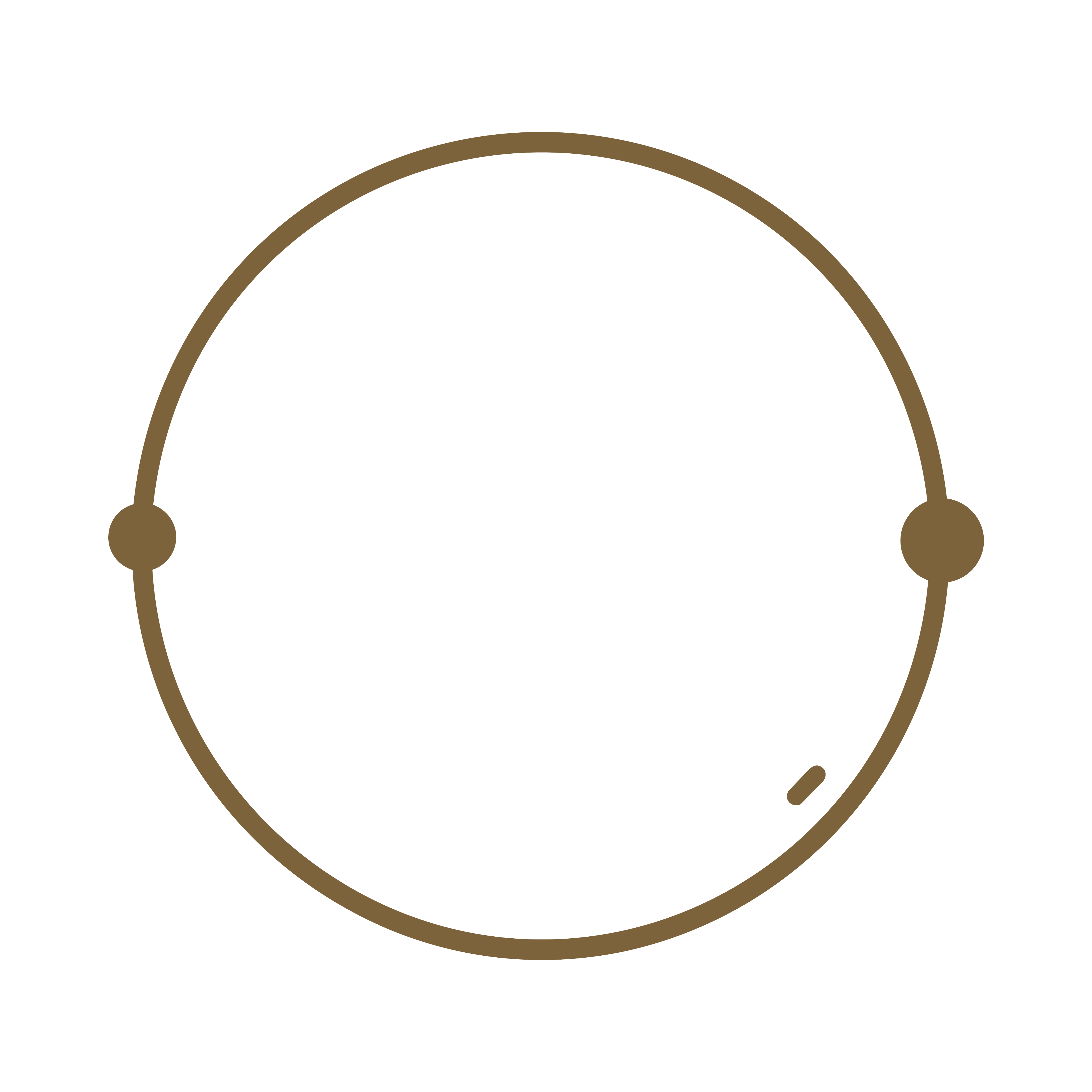 Website Icons d-48.png