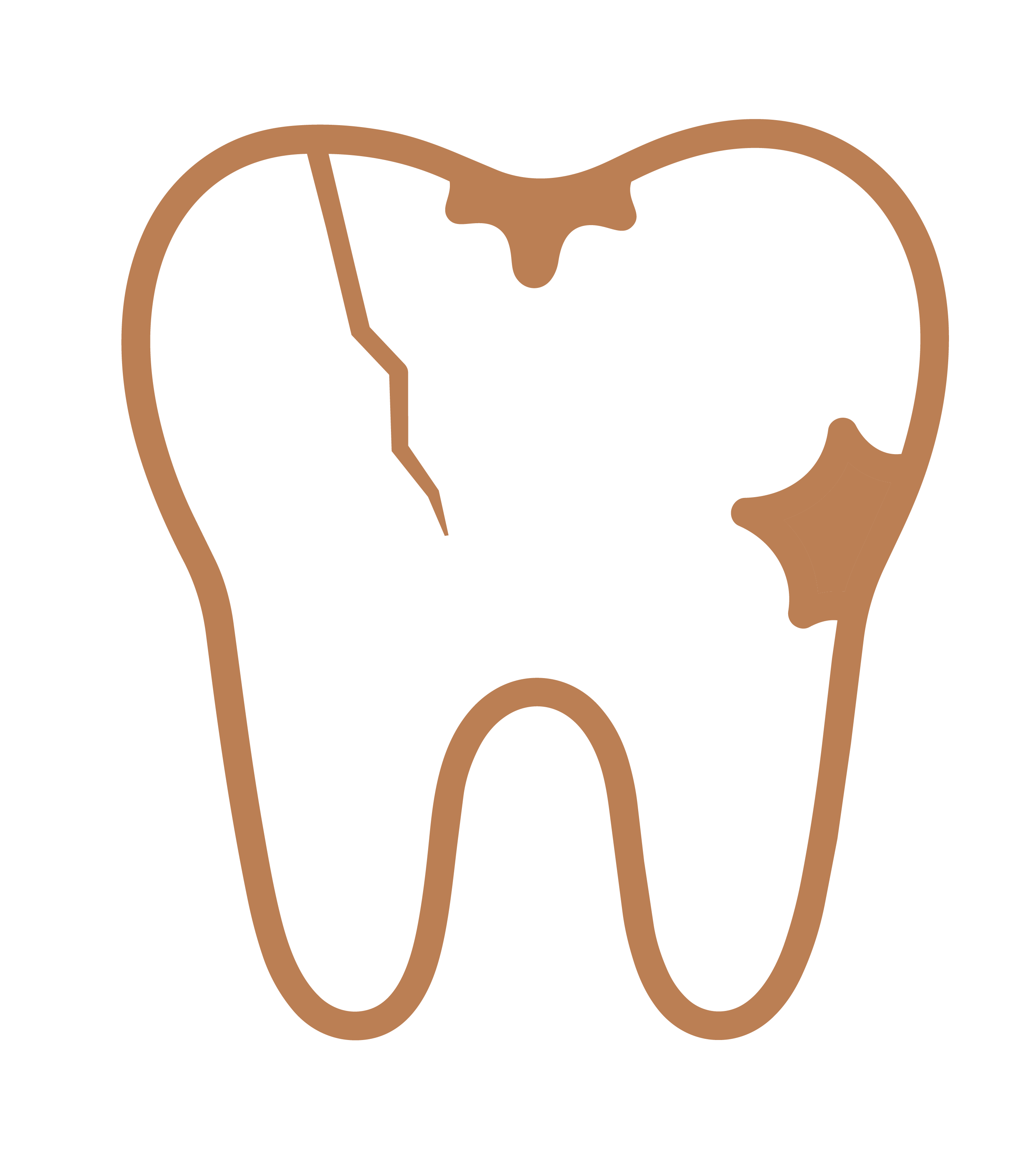 Website Icons - Section 4-13.png