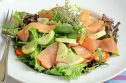Salmon