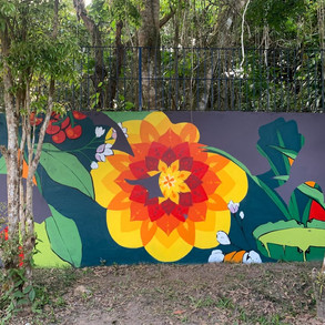 shesko_sirius_arteurbana_artistasmural-img_5318.jpeg