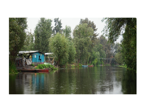 From paper to practice: are public policies enabling transformative change? Reflections from the Xochimilco wetland