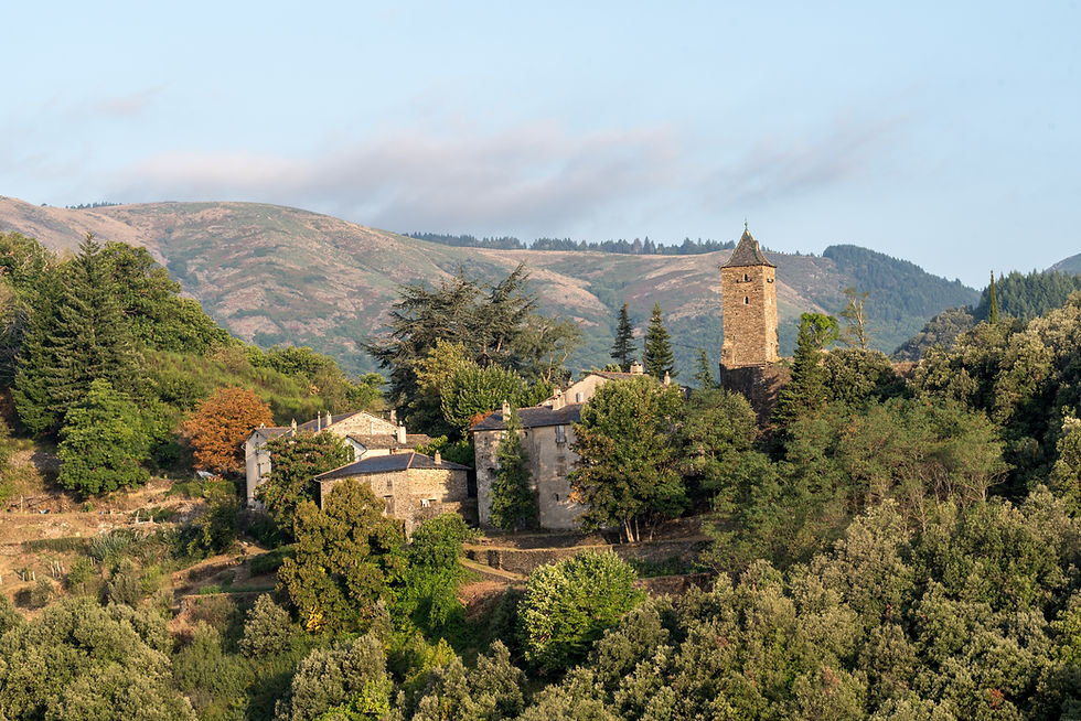 Aytrement 187b - France - Cévennes - Le Follaquier le matin.jpg