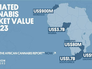 2019 Global Cannabis Use & Projections