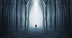 man walking through a fairytale forest