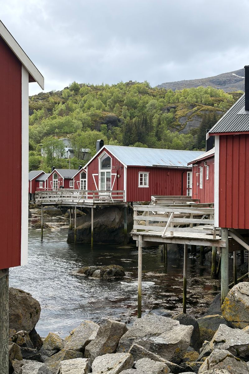 Traditional red rorbuer fishing cabins on stilts above the water in the Lofoten Islands, Norway, with rocky shores and green hills in the background.