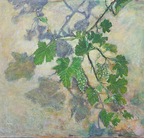 nurit shany - A shadow on the wall, multi media, 2007