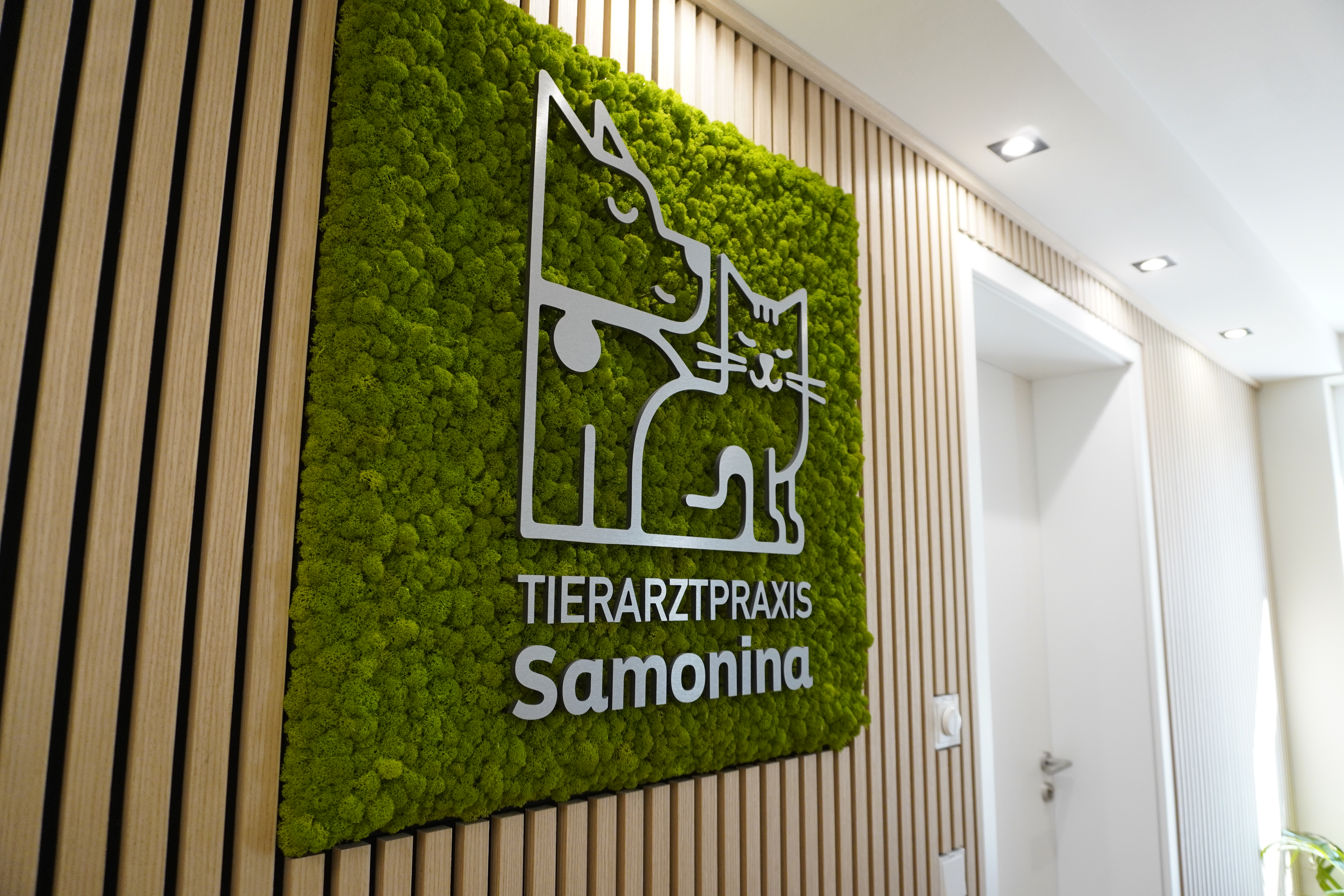 Autorenbild: Samonina