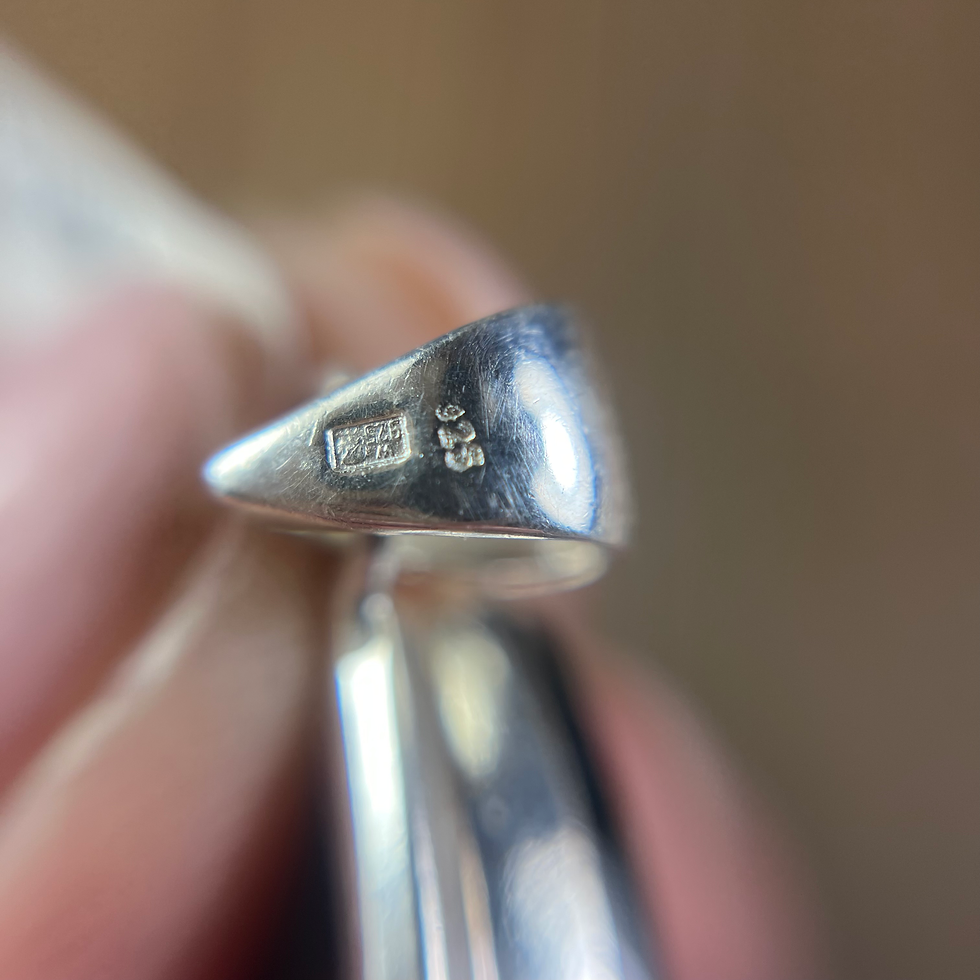 Miniatura: Srebrna zawieszka ze skapolitem, skapolit, łuna jak labradoryt