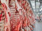 China aplica sobretaxa de 55% sobre carne bovina brasileira