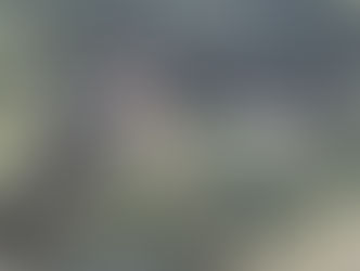 Casal é atacado por enxame de abelha após acidente em Palmitos