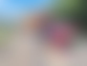 Acidente com três veículos mata idoso de 78 anos no Oeste