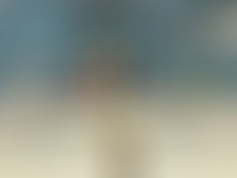 Legislativo de Águas de Chapecó realizou 1ª sessão de 2026